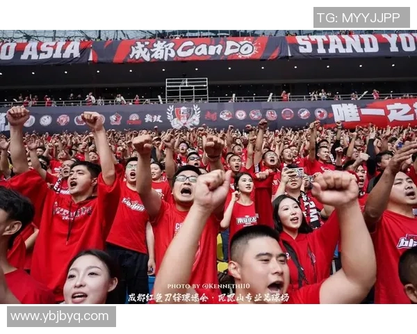 足球明星家庭私享足球场揭秘球场背后的故事与荣耀