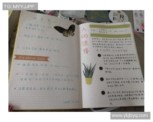 足球明星手账高清图片分享让你领略球场风采与生活点滴的完美结合