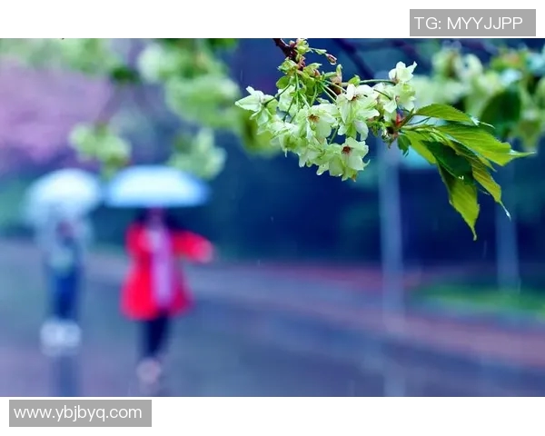 何思雨:在风雨中绽放的坚韧与希望的故事